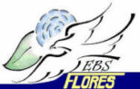 Escola Básica e Secundária Flores